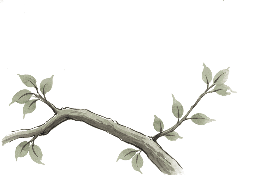 A bare branch